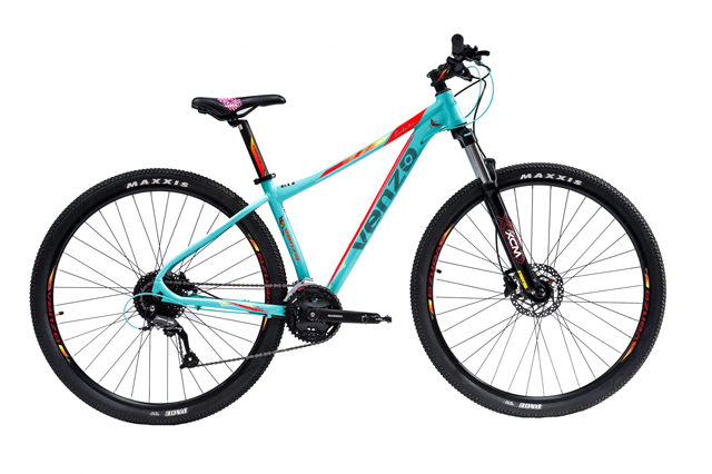 Bicicleta Venzo Frida